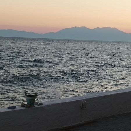 George & Katerina Houses Paralia Dionysiou Bagian luar foto
